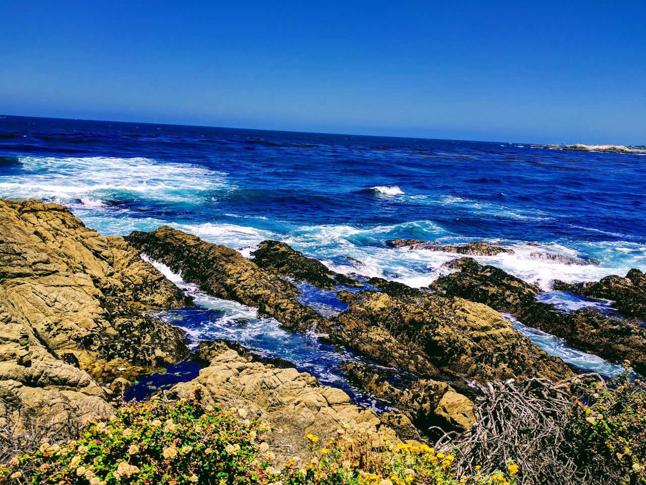 Discover the Breathtaking Beauty of 17-Mile Drive in Monterey