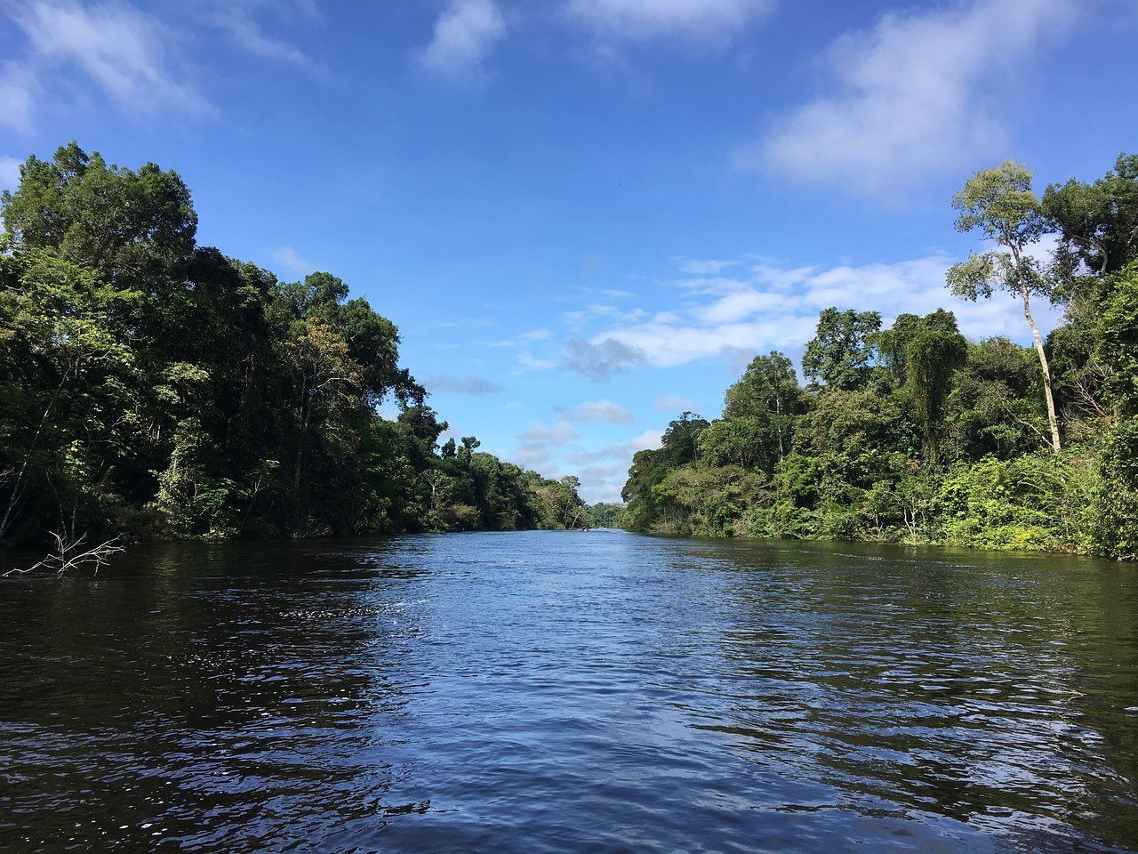 Explorando el Amazonas: emocionante paseo en bote en Leticia, Colombia.