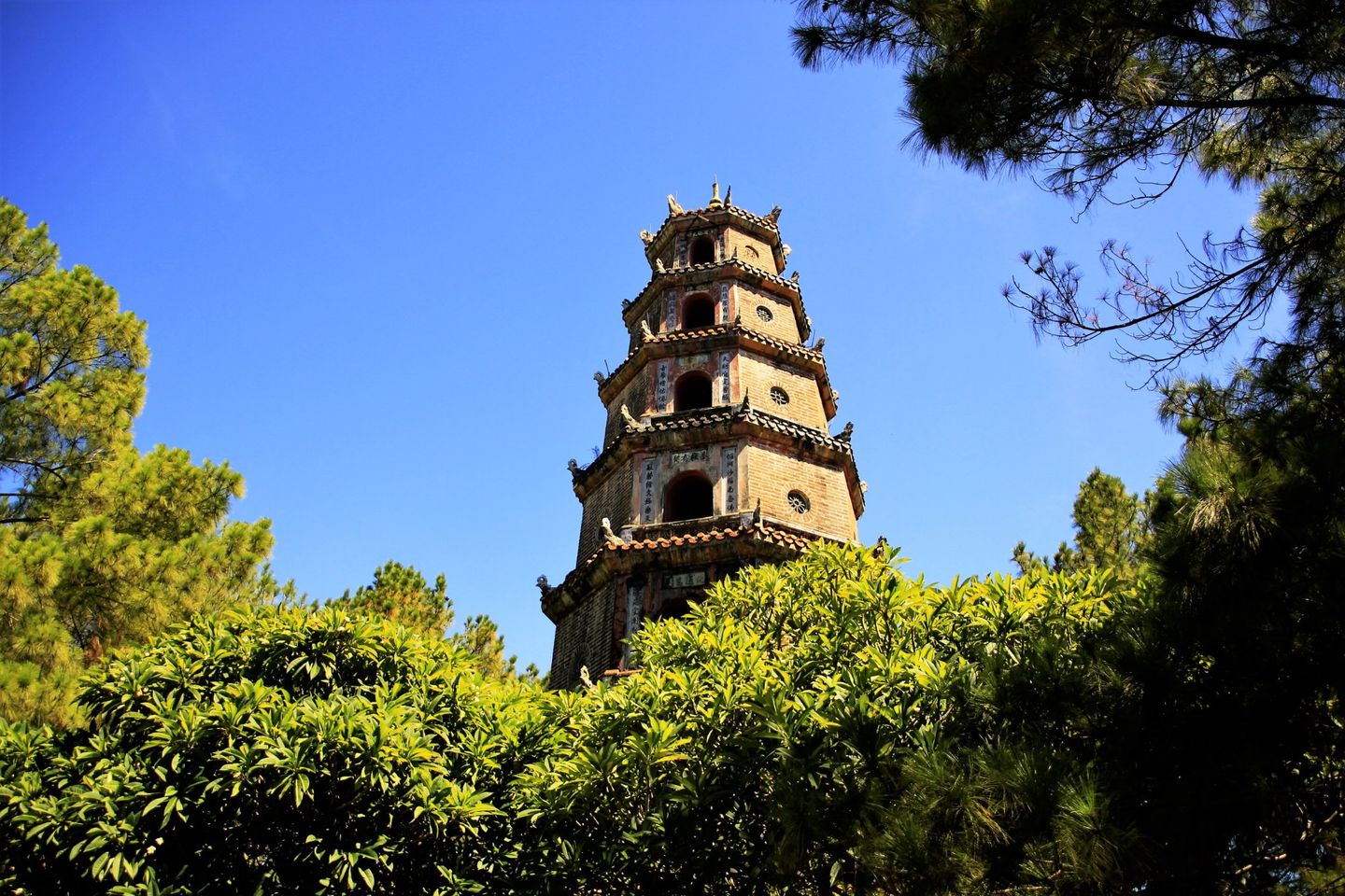 Another view of the pagoda