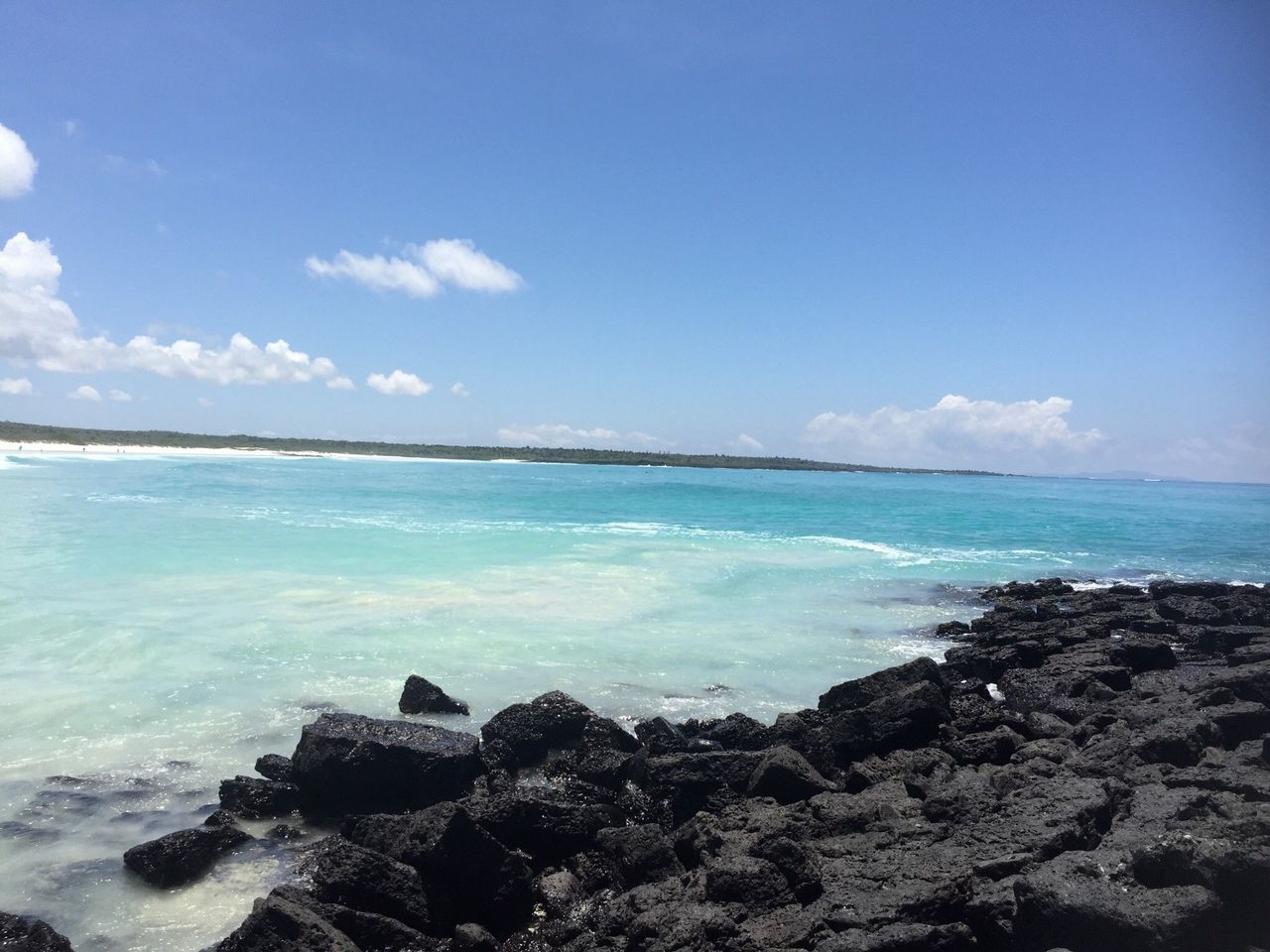 Tortuga Bay es un excelente plan de playa y relax en medio de la flora y fauna única de galápago