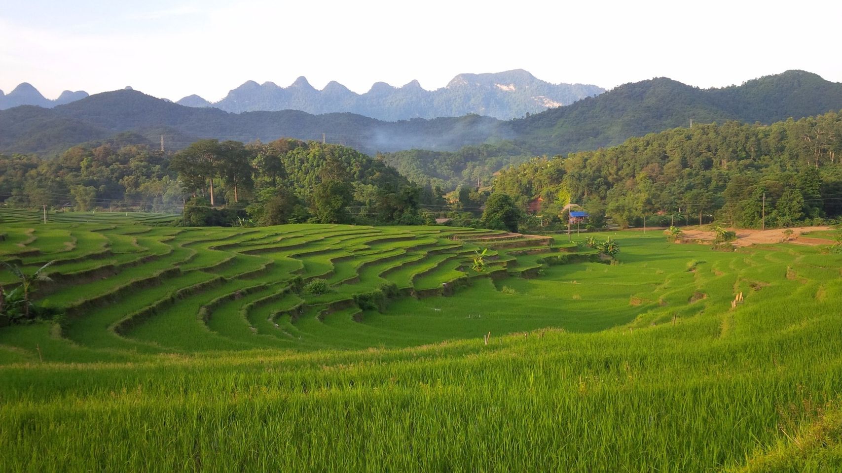 another terraced rice field