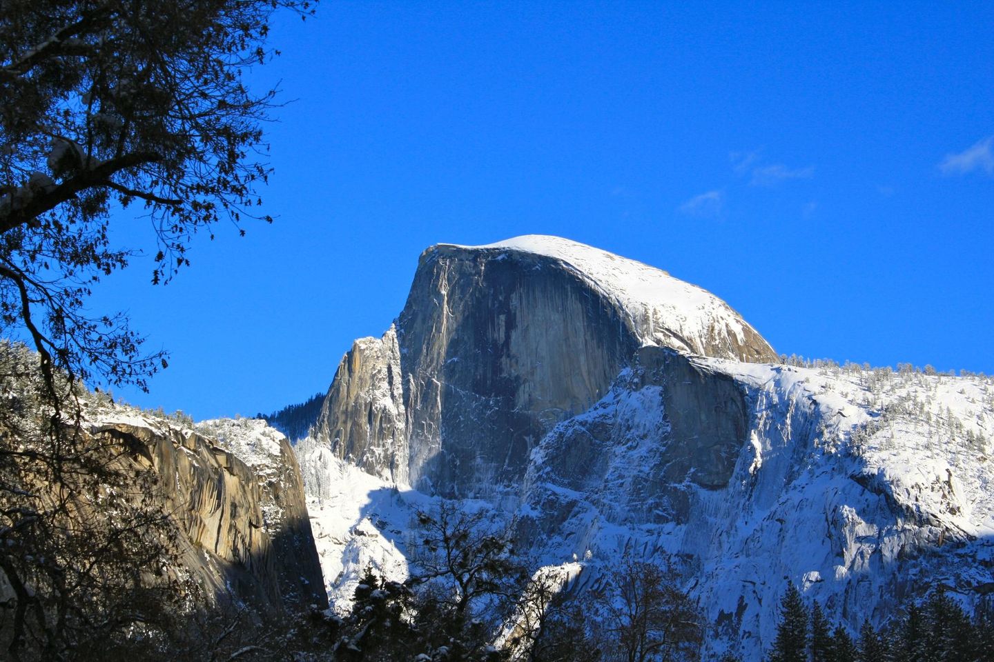 Conquer Half Dome and Unleash Your Inner Adventurer