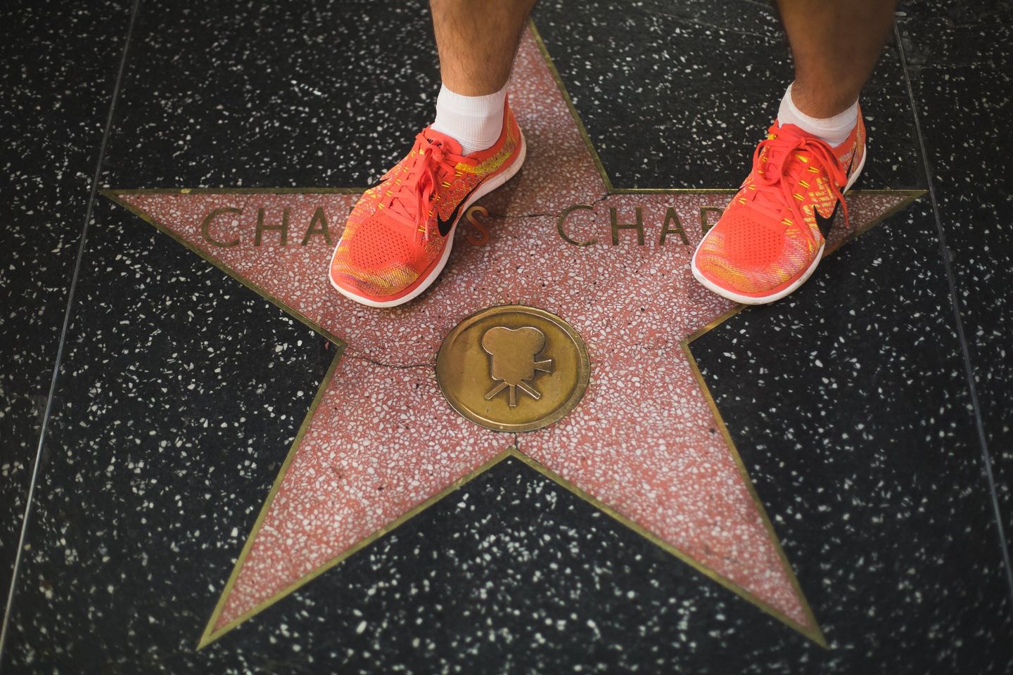 Stunning Stars of Hollywood: A Must-See On the Walk of Fame
