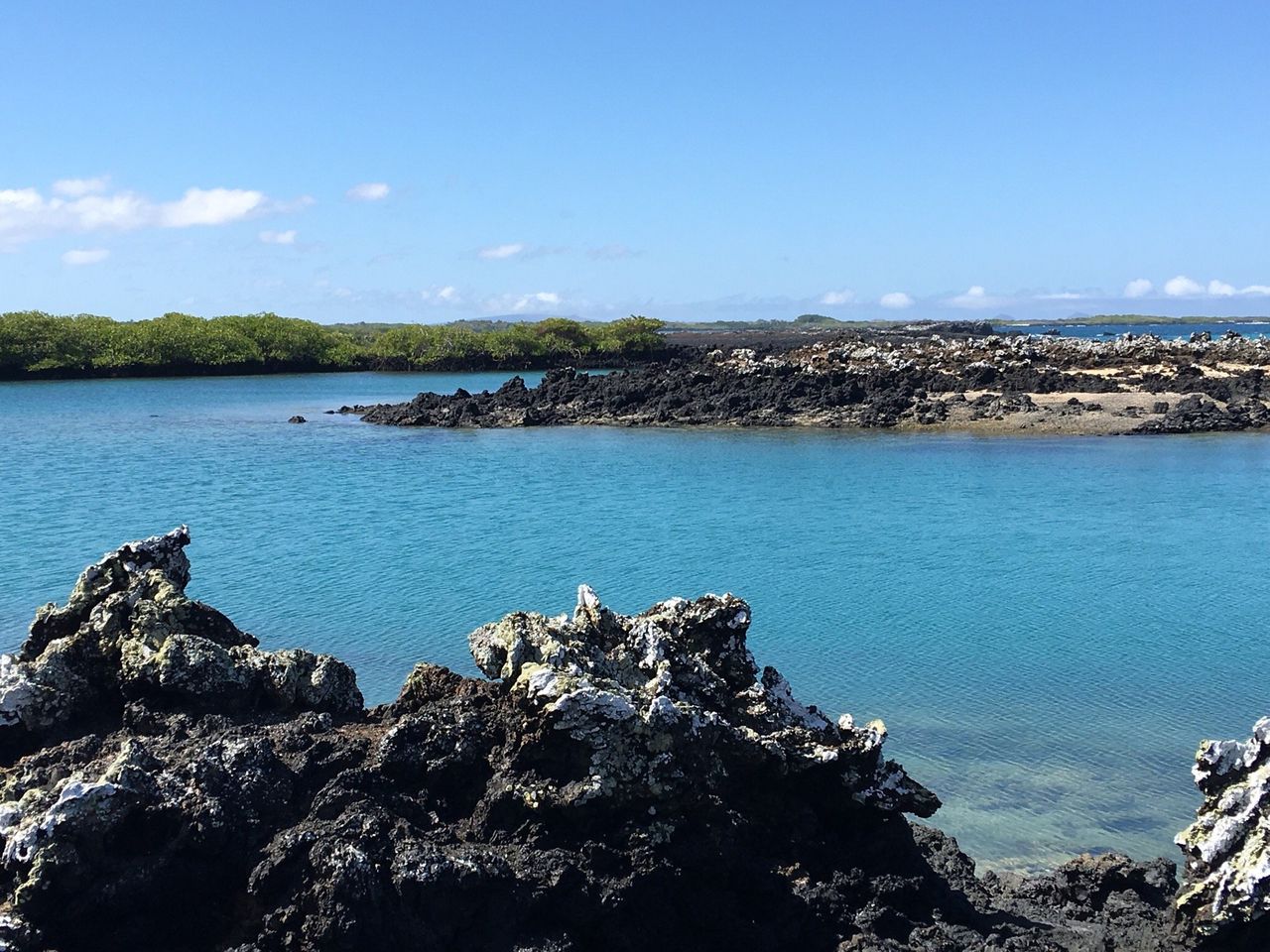 Entdecken Sie die bezaubernde Unterwasserwelt von Las Tintoreras in Galápagos.