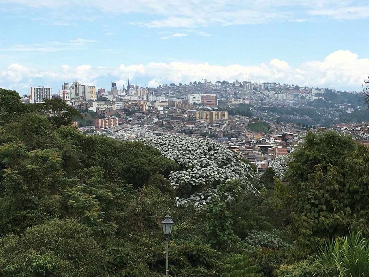 Descubre la joya escondida de Colombia: el Parque Ecológico Los Yarumos.