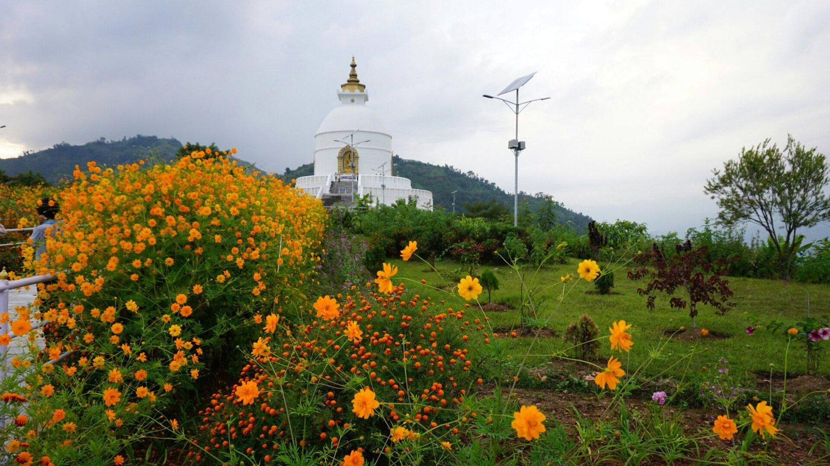 Discover Nirvana: Lumbini Garden, Nepals Sacred Sanctuary