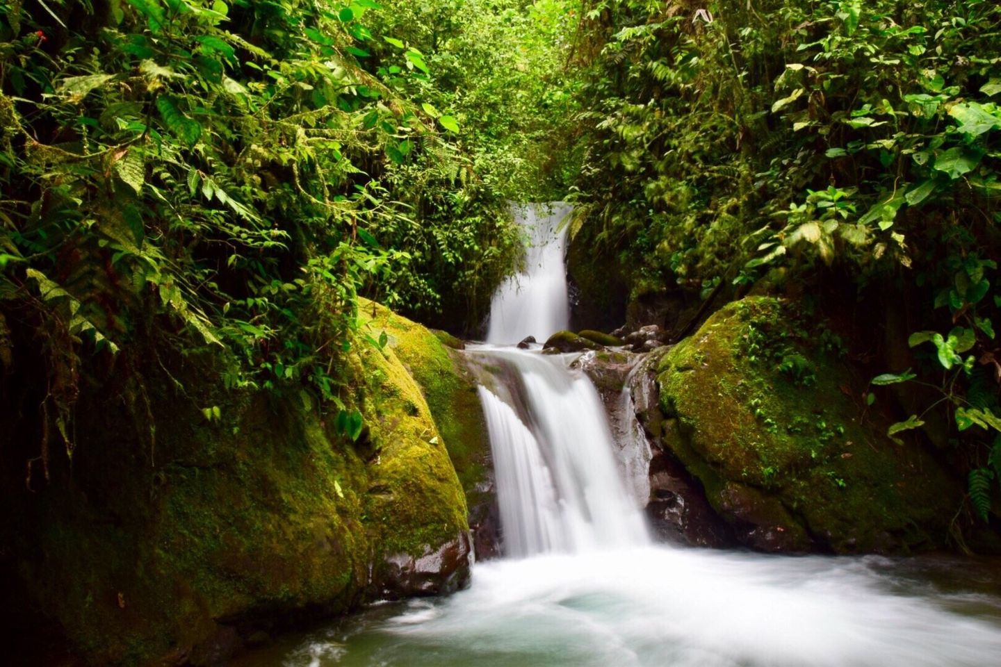 „Mindo, Ecuador: ontdek vogelobservatie, watervallen en avontuur”