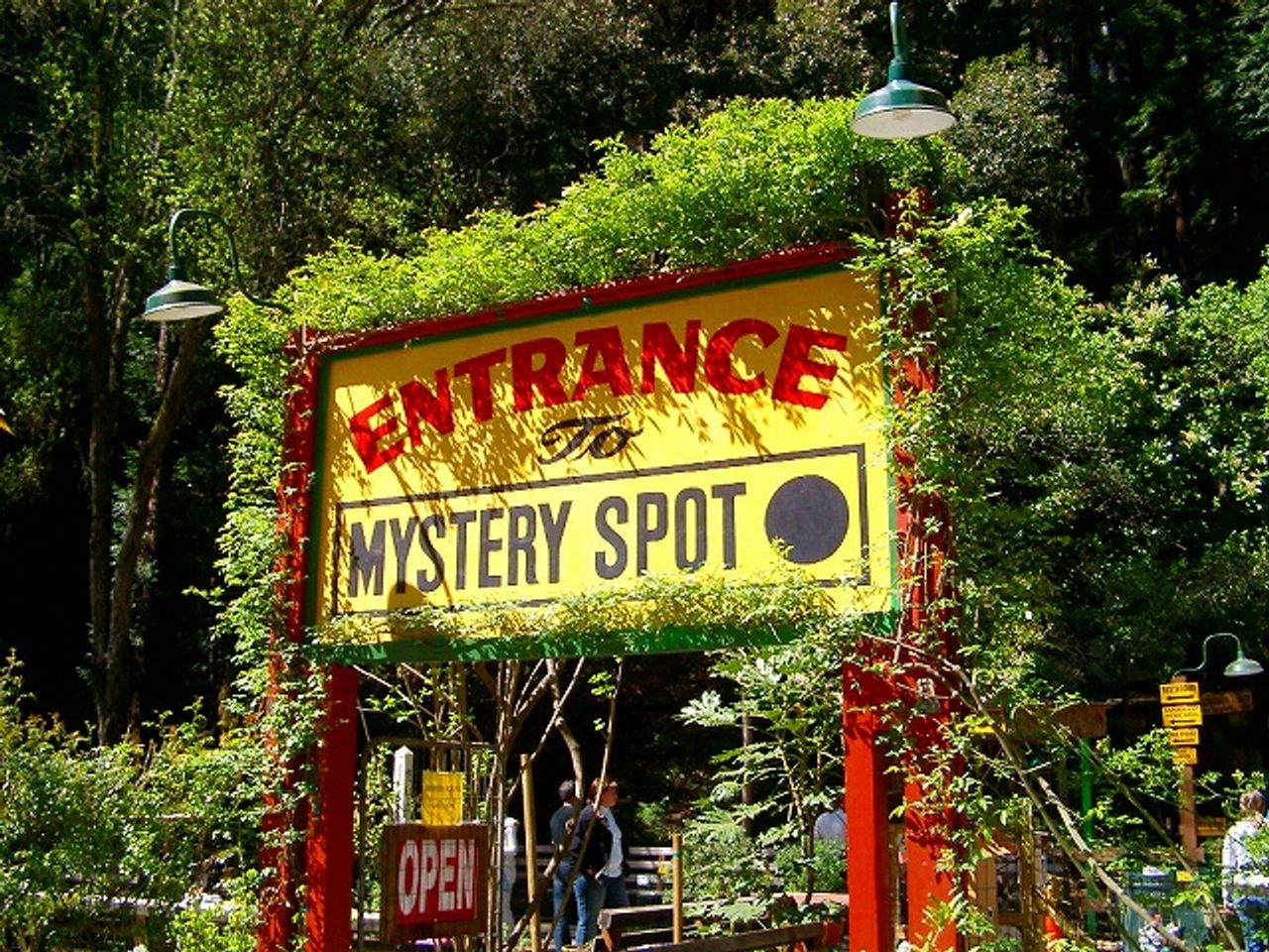 Unveiling the Mysterious Phenomenon of Mystery Spot in Santa Cruz