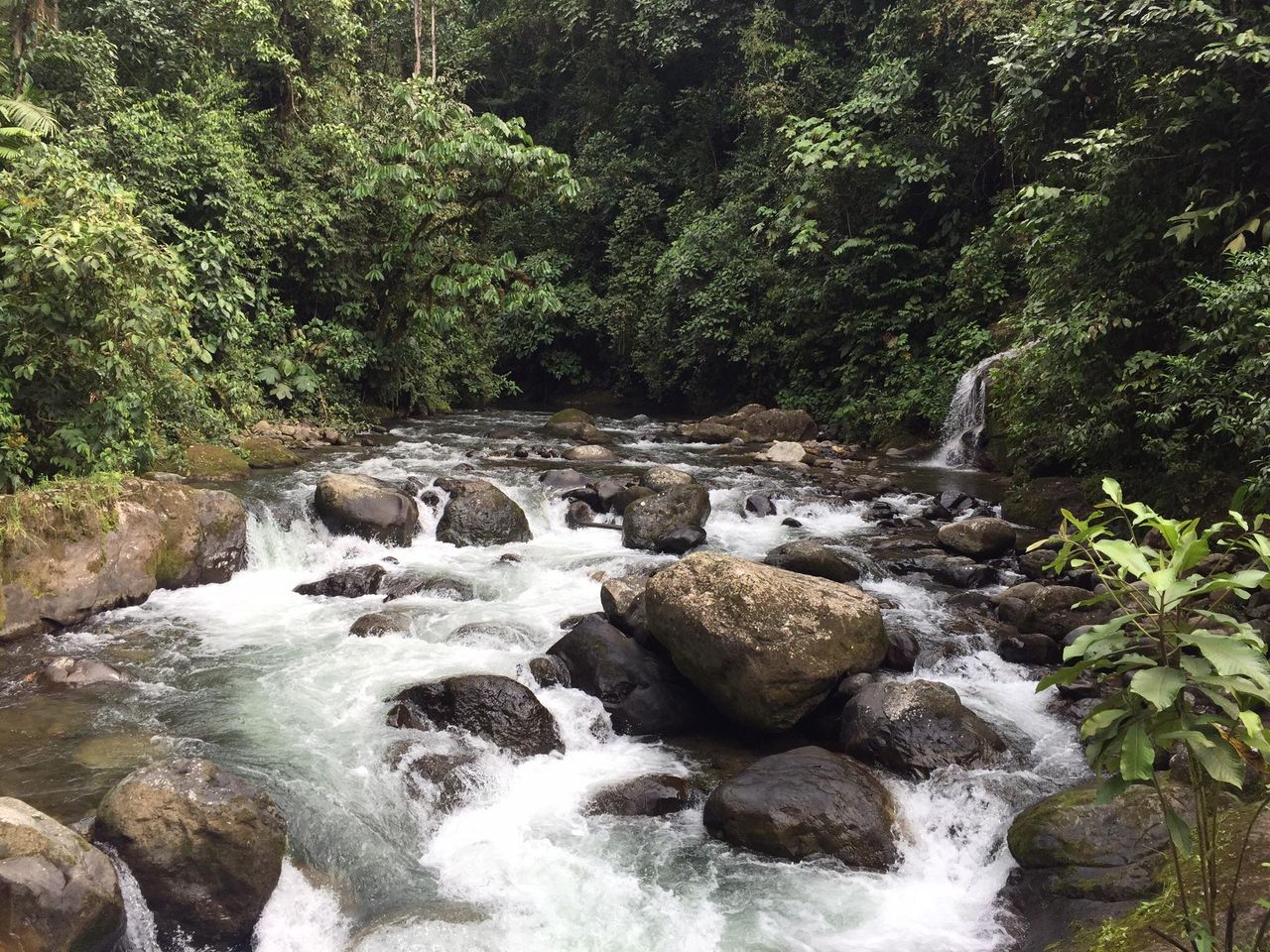 Découvrez la beauté cachée de la cascade de Nambillo à Mindo, en Équateur.