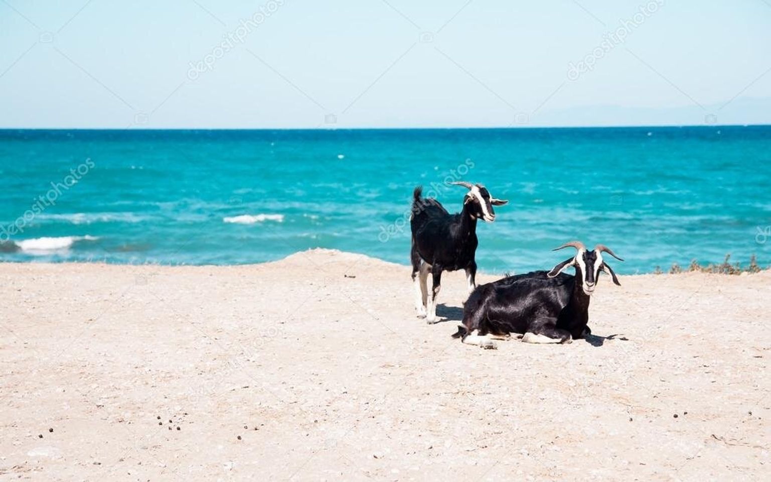 me & my wife enjoying the beach front view before my untimely passing