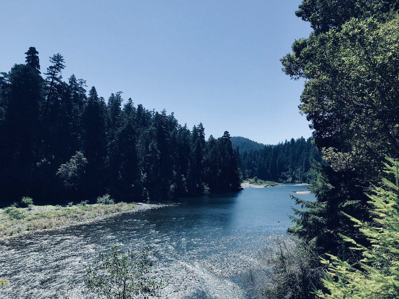 Entdecken Sie die majestätischen Wunder des Redwood National & State Parks: Top-Aktivitäten!