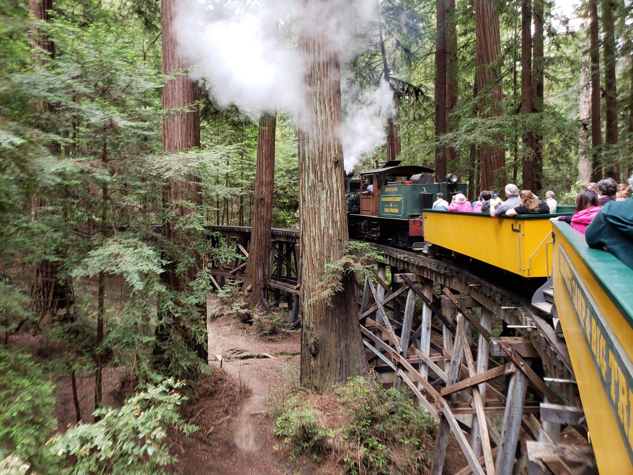 Embark on a Scenic Train Journey through the Redwoods at Roaring Camp