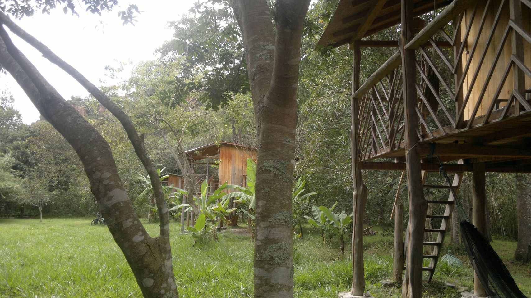 Ontdek het paradijs bij Rumi Wilco Reserve: Ontsnap naar het ultieme toevluchtsoord van Ecuador.