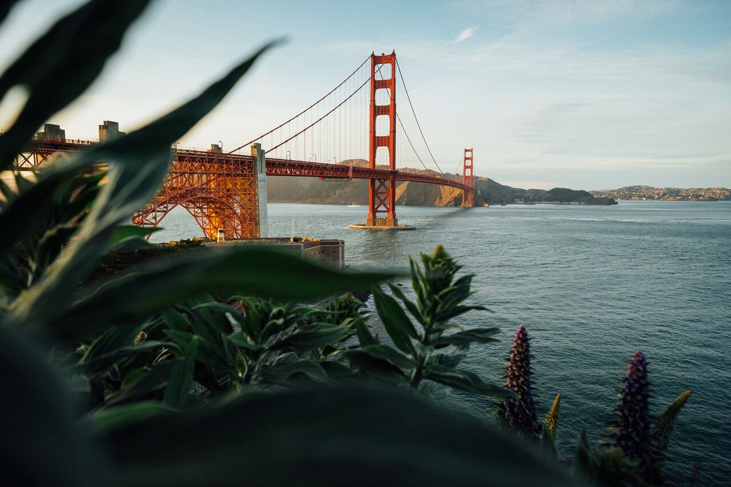 Discover San Franciscos Hidden Gems: Insider Tips & Tricks
