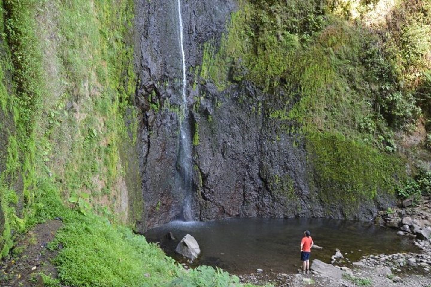 Entdecken Sie den majestätischen San Ramon Wasserfall: Ein verstecktes Juwel in Ometepe.