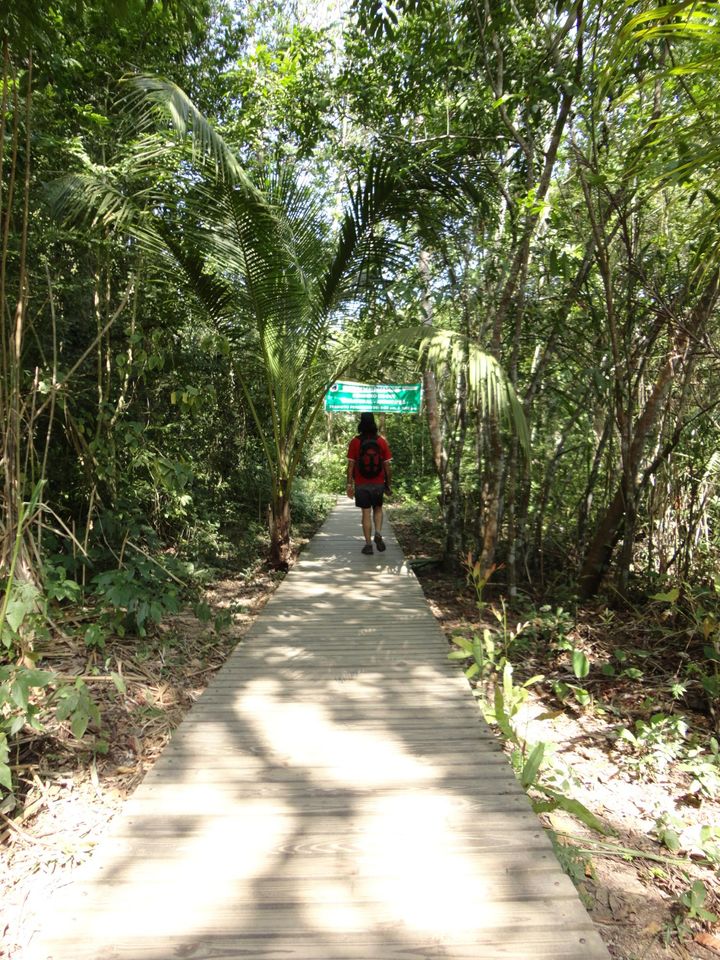 Ontdek het paradijs: Nationaal Park Tayrona in Santa Marta.