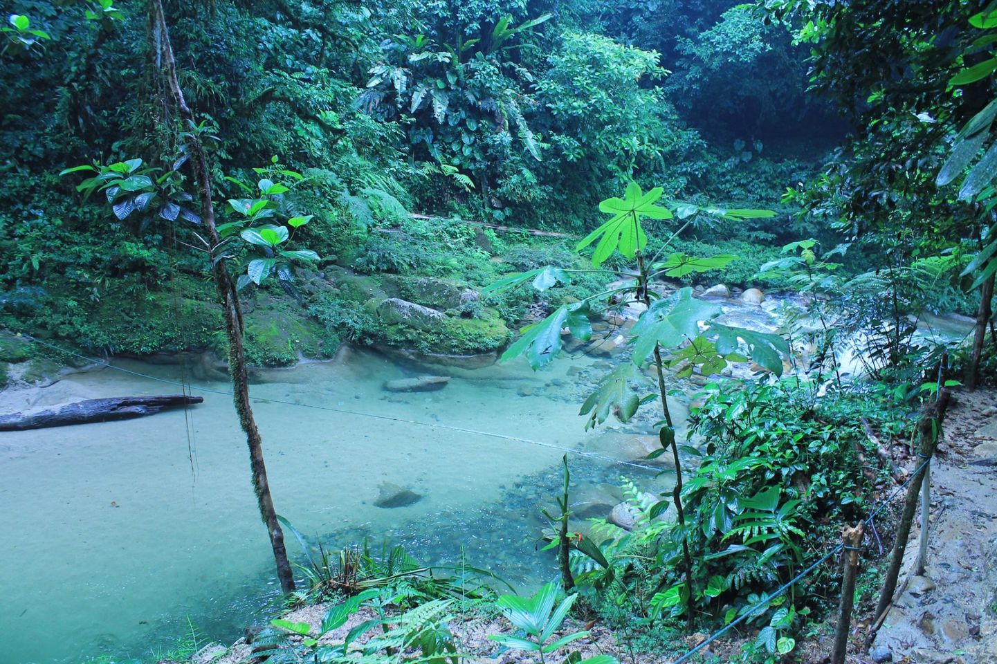 „Tena, Ecuador: Onthulling van de verborgen pareltjes van de natuur”