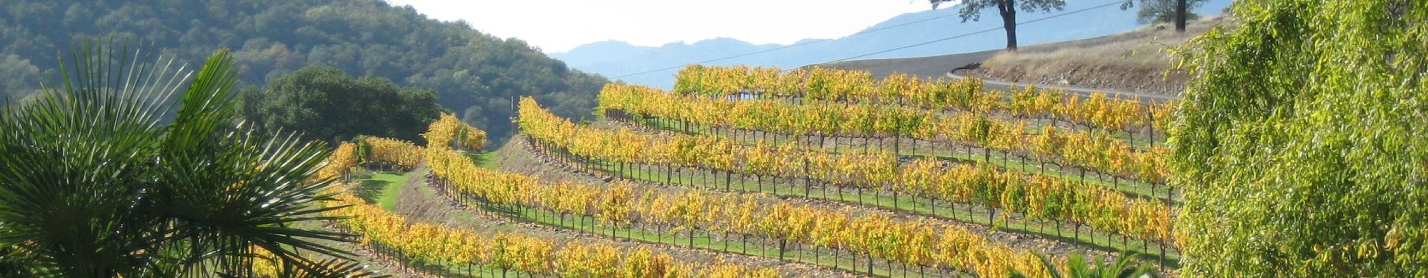 Discover the Ultimate Indulgence: Yountvilles Napa Valley Haven